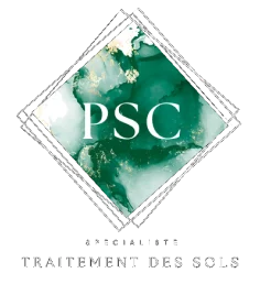 Pro Service Cleaning Traitement De Sols A La Colle Sur Loup Logo