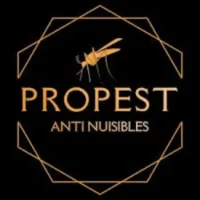 Pro Service Cleaning Traitement De Sols A La Colle Sur Loup Images 1